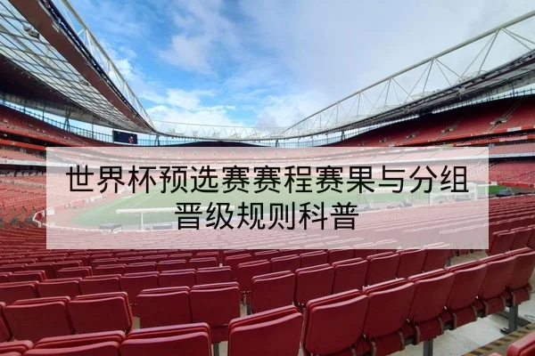 世界杯预选赛赛程赛果与分组晋级规则科普
